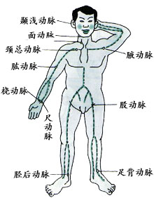現(xiàn)場(chǎng)急救常識(shí)